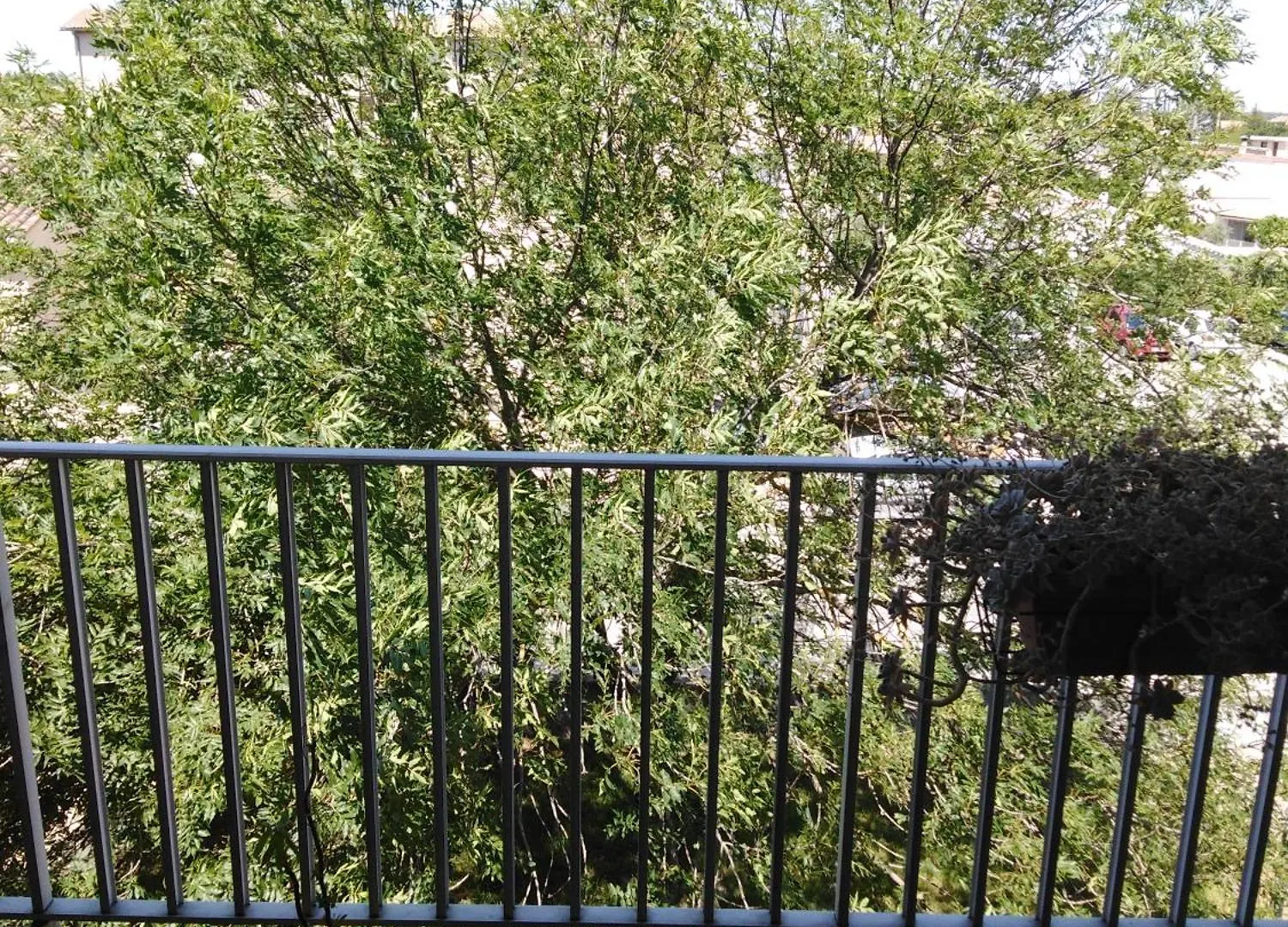 Appartement Confortable Centre Ville L'Isle-sur-la-Sorgue